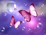 Pink Butterfly Dream