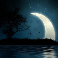 	Shining Moon  Mystic Island 