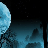 Twilight of the wolf