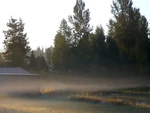 September Morning Fog 
