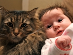 Baby and cat