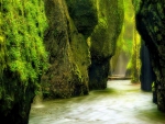 Oneonta Gorge