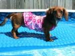 Zoey Going Swimming