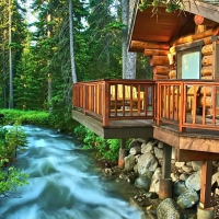 forest stream by the back porch hdr