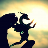 Wee Dragon Catches the Sun