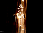 Streaking Lights