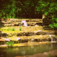Lockhart State Park Brook