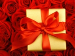 A special gift for you
