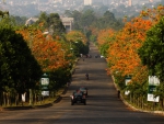 Spring in Bandung