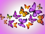 Butterflies in purple