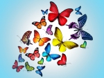 Butterflies in aqua