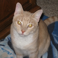 Isabella looking cute