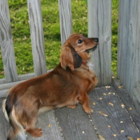 Zoey looking serious