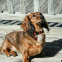 Zoey listening to her mom Debbie