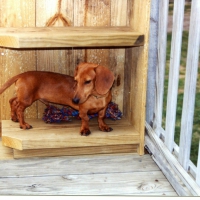 Robbie waiting for his friends