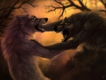 Werewolves Fighting