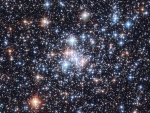 Open Cluster NGC 290