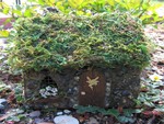 Enchanted Fairy Cottage