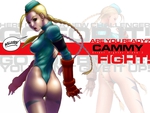 fight cammy