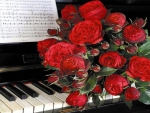 Bouquet of red roses and  music
