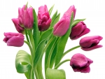 Bouquet of pink tulips
