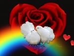 Doves In Loveâ™¥