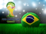 Fifa World Cup, Brasil