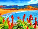 Flowers in Coastal Paradise