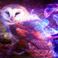 Spirit Owl