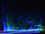 Dancing Coloured water