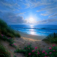 âœ«Blue Sunset Gloriesâœ«