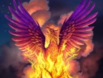 Phoenix