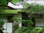 Japanese House