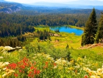 Lassen Volcanic National Park