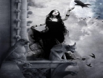 Witch And Crows