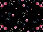 Roses and Bubbles