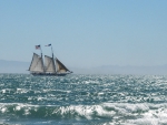 Tall Ship at Sea