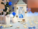 Decorations for a dream wedding