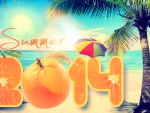 â˜…â˜†â˜… HAPPY SUMMER 2014 â˜…â˜†â˜…