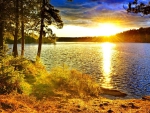 Golden sunset on lake