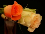 Two beautiful roses
