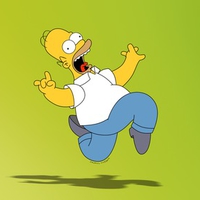 Homer Simpson