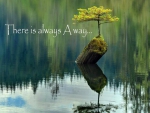 There is always a way....