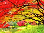 Autumn in Japanese Garden