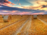 Makin' Hay ~ South Dakota Sunset