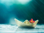 Little boat and summer rain