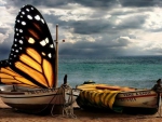 Æ¸ÓœÆ·.butterfly_boatÆ¸ÓœÆ·.