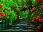 Beautiful Spring Path