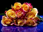 Beautiful Roses