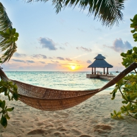 â™¥Tropical Paradiseâ™¥